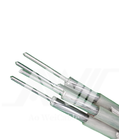 YJLV